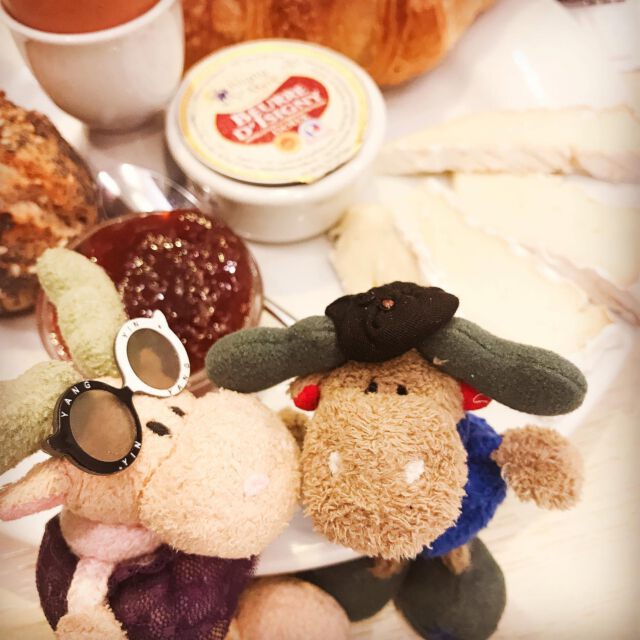 Bonjour, mes amies,
ier spricht euer Maurice 🇫🇷. Es ist ja fürschterlisch, wie .‘ier immer über mir berischtet wird! Isch .‘abe doch gar nischts gemacht! 

Diese neugierisch Tönnschen (was für ein uncharmant Name für ein Femme ist das über’aupt?) und die schrecklisch brütal und uncharmant Elschfrau mit die ein Schauföl, die mir sehr viel Angst macht,  sie verstehen einfach nischt, dass ein eschter .‘omme eben die .‘übschen Mademoiselles glücklisch machen muss! Das ist eins von sein großes Lebens … öh … aufgabe! Er arbeitet .‘art (mach isch bestimmt nach dem Bac … Abi), trinkt Champagner 🍾 und Vins excellents, isst gut und macht die Frauen glücklisch!

Er macht sie Komplimente, schenkt sie ein schönes Blume 🌷 und vielleischt auch mal ein ganz, ganz kleine Baiser auf die Kleine, rosige Bäckschen! 

Aber ist er des‘alb kein Ehren‘omme??? Isch bitte eusch!!! Das ge‘ört sisch doch so! Nur weil isch ein Freundin très officielle habe, kann isch doch nischt all die andere, schöne Mädschen so … wie sagt man … vor die Kopf stoßen!

Mein petite Praline 💕 ist mein Freundin, ganz officiell, sonst würde isch doch nischt mit ihr bei @epiboulangerie frühstücken 🥐 🥖,die eschte französische Petit déjeuner! Wenn sie nicht ma Princesse wär, würde isch mit sie in ein von diese eklig deutsche Bäckereien gehen. Maximal. 

So. Isch esse jetzt mon Croissant🥐.

Euer Maurice 🇫🇷,
cavalier de la vieille école 🌹 

P.S.: Mädels, ihr seht .‘eute alle wieder sehr .‘übsch aus!! 😘😘

#petitdejeuner #vivelafrance #gentleman #petiteamie #kavalier #bachelor #maurice #plushiesofinstagram #plushiesofgermany #plushies #plüschtier #stofftier #kuscheltier