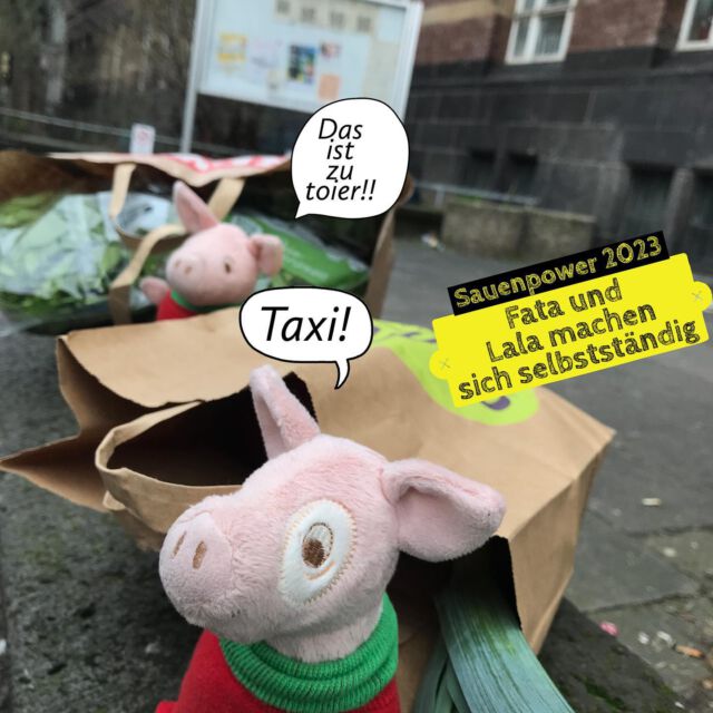 Liebste Froind:innen, hoiiite morgen sind Lala 🐷💕und Fafa 🐷💕gleich los und haben sich um die ersten Einkoife 🥒 🍆 für ihren ersten offiziellen Auftrag gekümmert. 

Natüüüürlich sagt Lala, ist ihr dabei aufgefallen, dass sie beide zuletzt professionell in einem Palast 🏰 gekocht haben und die Einkoife immer nach Hause haben liefern lassen … 
Und seit sie hier sind, haben sie ja auch noch nie so richtig alleine eingekauft, weil sonst immer Tönnchen 🦛 dabei war - aber sie haben das toll gemacht. (Sie hatten nur die Schokolade 🍫 vergessen. Da war ich ein bisschen enttoischt.) 

Ich hatte mich auch schon gefroit, dass sie gleich etwas Schööööönes kochen - aber dann ist der Nönner 🧐 um die Ecke gekommen und hat was von Kalkulatioooooon 🧮 geredet und dann das wichtig ist. Da bin ich lieber mal ins Restaurant gegangen, denn Lala und Fata haben beide sehr verwirrt geguckt, und ich habe gedacht, das kann dauern …

So. Jetzt geh ich mal gucken, ob dir zwei einen schönen Nachtisch fertig haben 🤤🤤🤤. Habt einen schönen Abend, liebste Froind:innen,

Oiiire Bella 🐷

#geschäftsidee #gründung #businesswoman #businessplan #catering #sauenpower #geschäftsfrau #plushiesofinstagram #plushiesofgermany #plushies